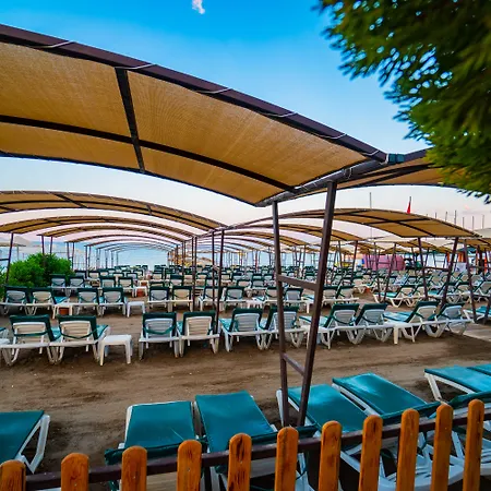 Senza The & Alanya