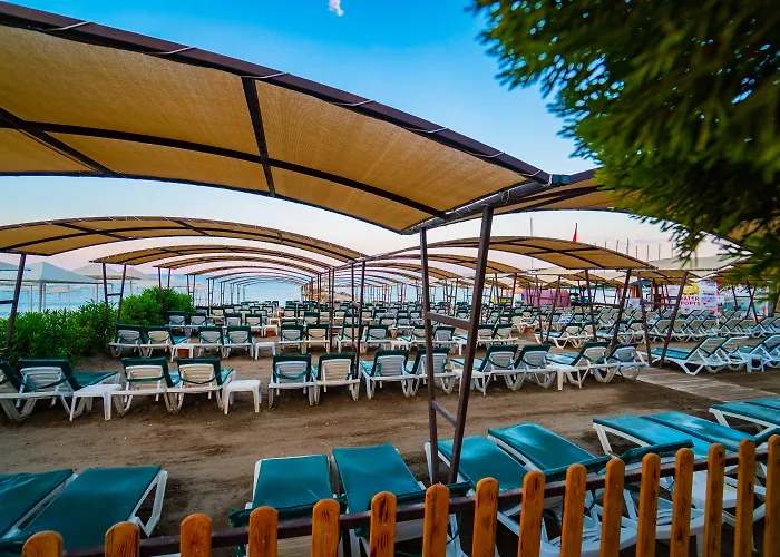 Senza The & Аланія